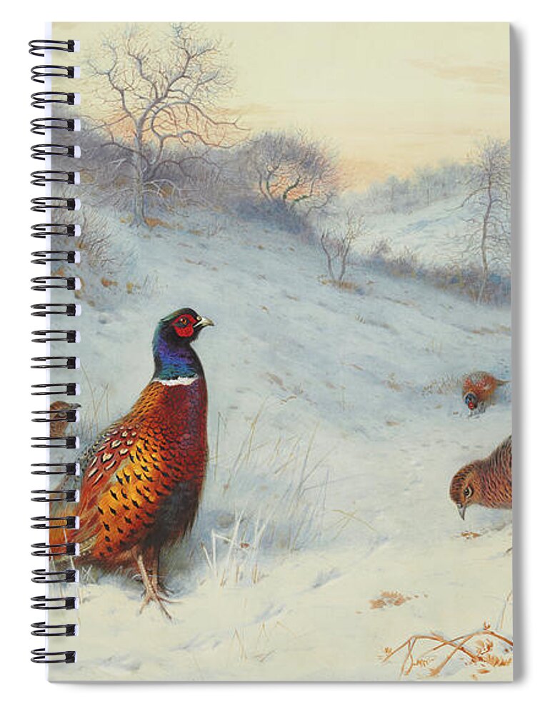 Pheasant Spiral Notebook featuring the painting Pheasant in the snow by Archibald Thorburn