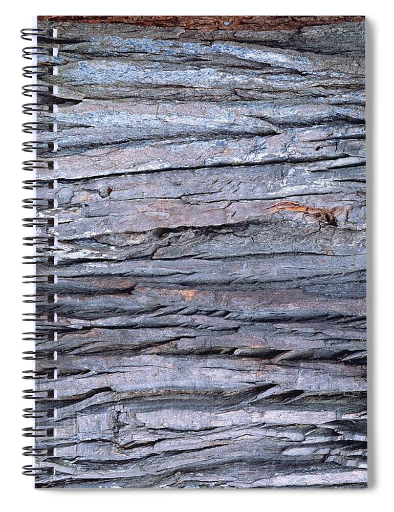Black Color Spiral Notebook featuring the photograph Photography Of Wood Grain, Close Up by Daj