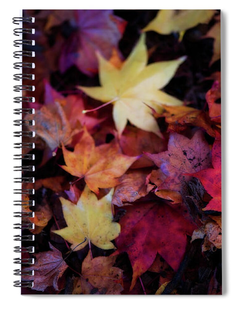 Botanical Spiral Notebook featuring the photograph Pick a Color by Venetta Archer