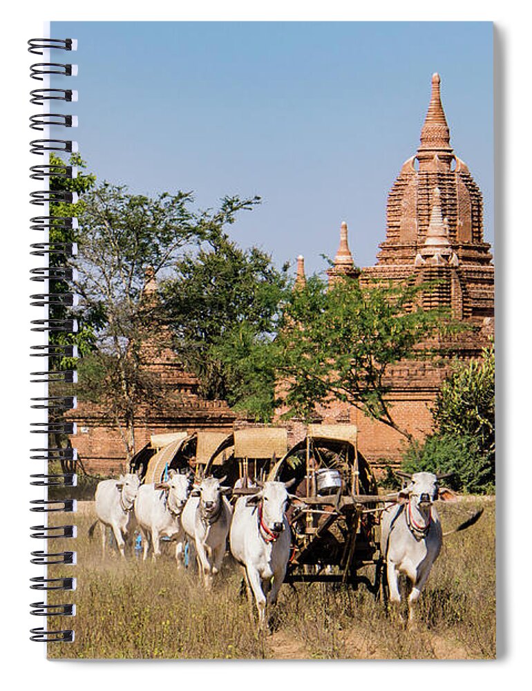 Ox Spiral Notebook featuring the photograph Pilgrims leaving festival in ox drawn carts by Ann Moore