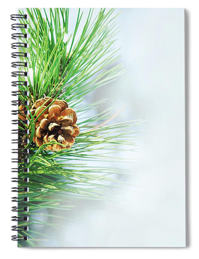 Pine Spiral Notebook featuring the photograph Pine Cone On Fir Tree Brunch Under Snow by Jelena Jovanovic