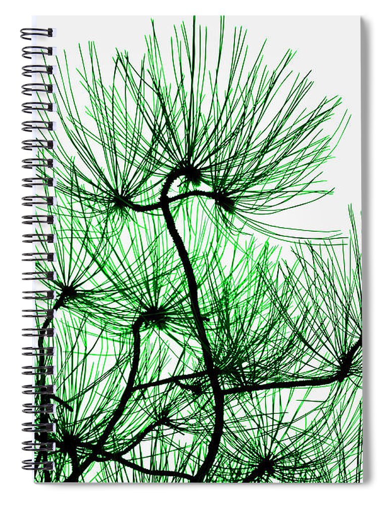 Top Artist Spiral Notebook featuring the photograph Pine Needles in Black and Green by Norman Gabitzsch