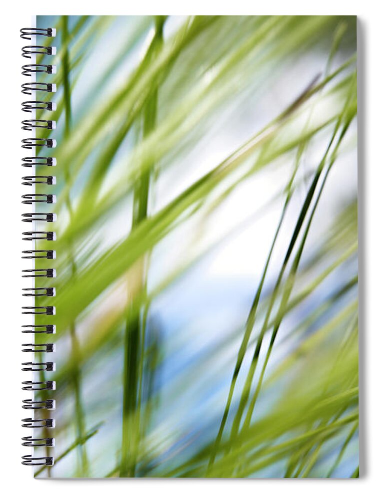 Curve Spiral Notebook featuring the photograph Pine Needles In The Wind by Matt Carr