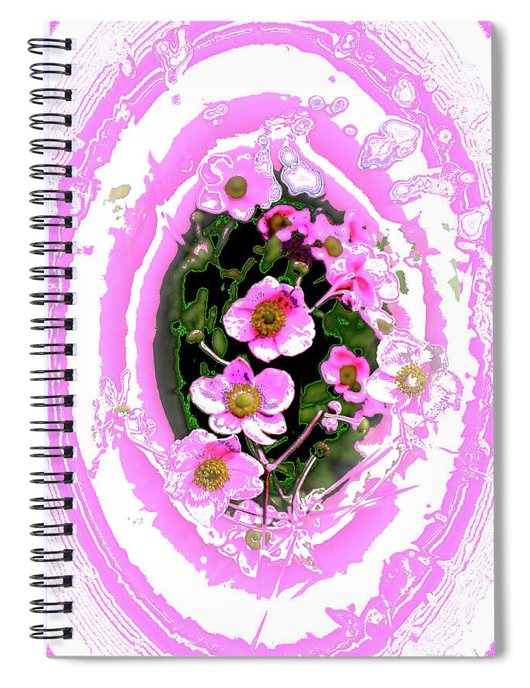 Flower Spiral Notebook featuring the photograph Pink and White Grasmere Flowers by Diane Lindon Coy