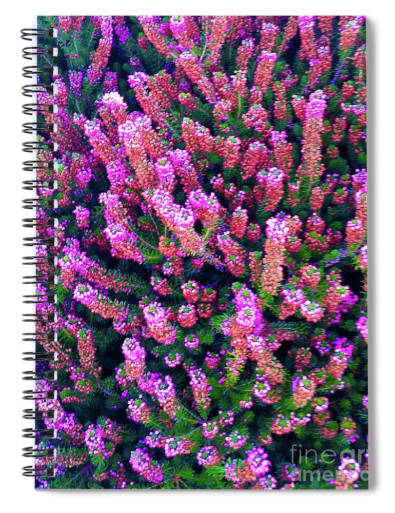 Pink Spiral Notebook featuring the photograph Pink Blooms by Carol Eliassen