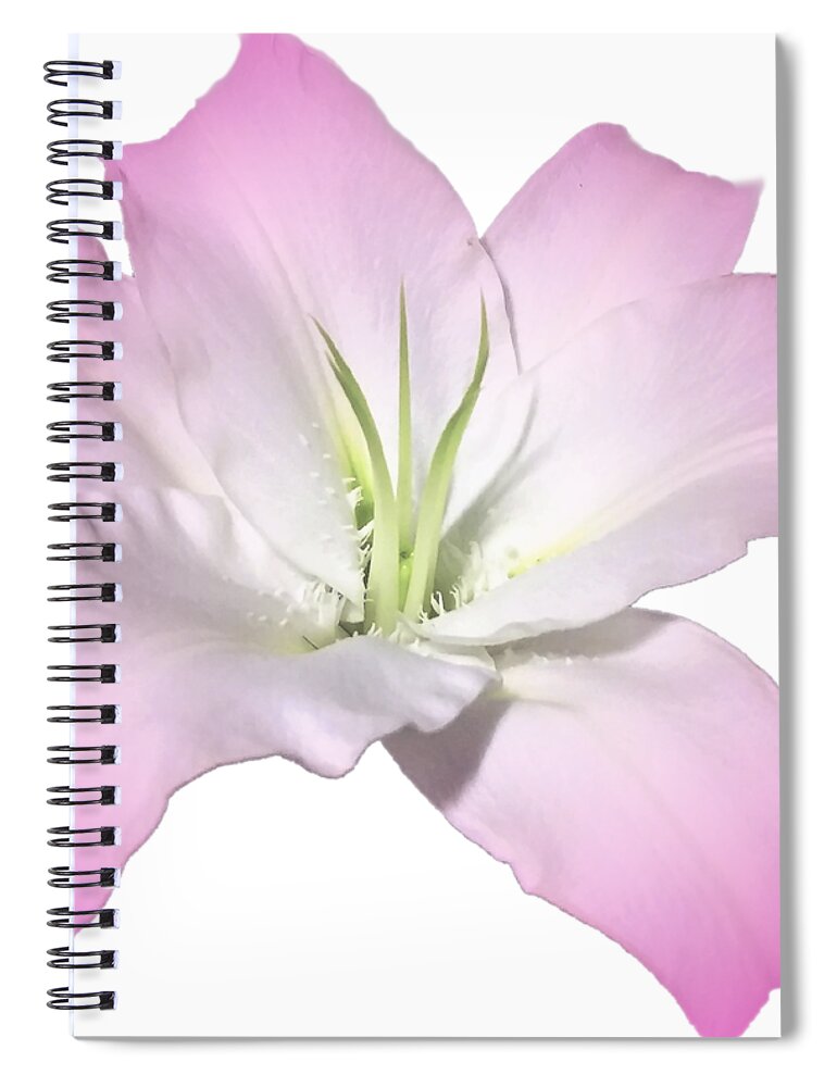 Pink Spiral Notebook featuring the photograph Pink Lily Flower Photograph Best for Shirts by Delynn Addams