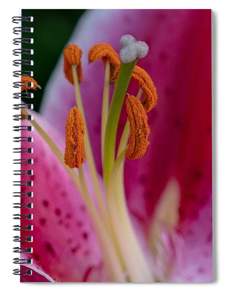 Flower Spiral Notebook featuring the photograph Pink Lily by Susan Rydberg