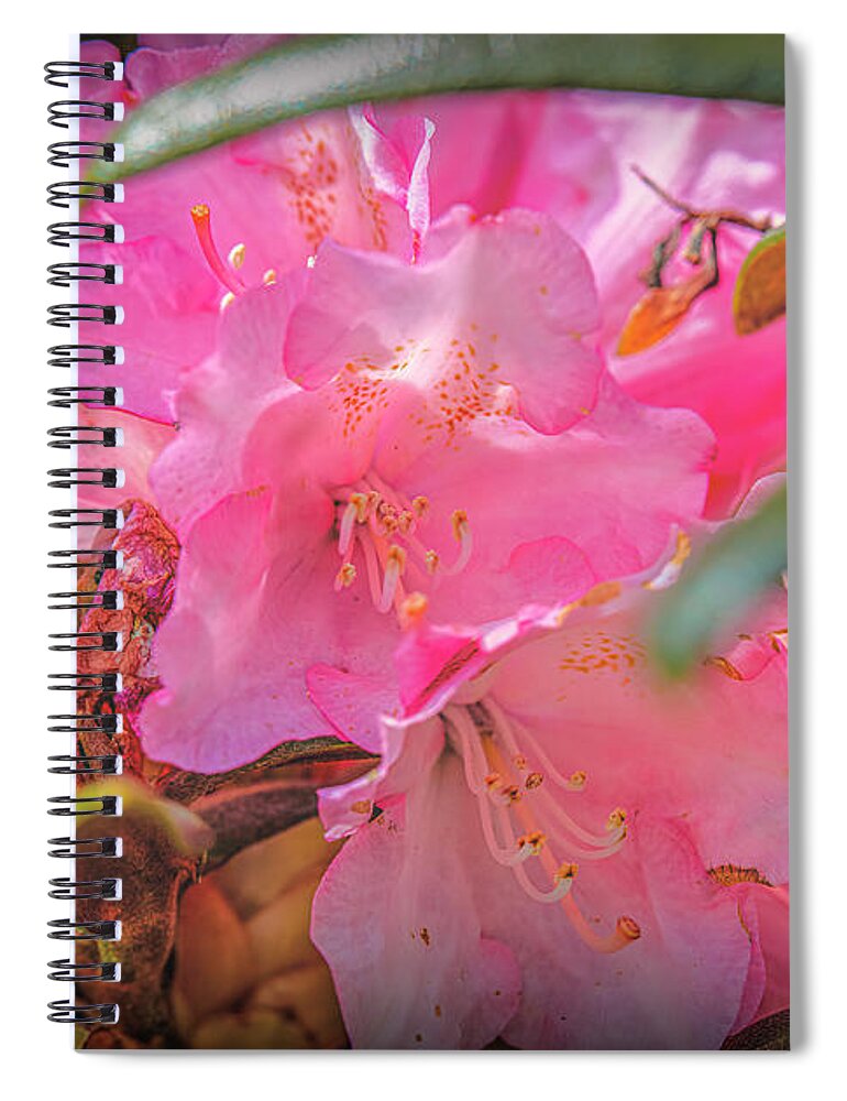 Pink Pink Pink Spiral Notebook featuring the photograph Pink Pink Pink #i8 by Leif Sohlman
