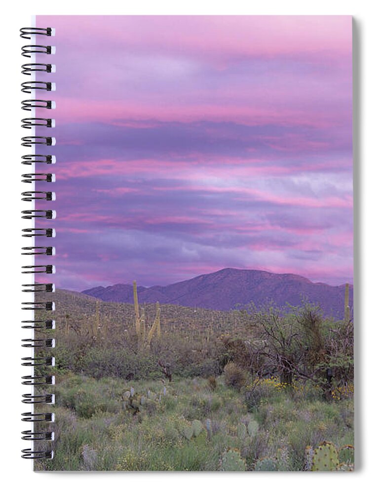 Saguaro Cactus Spiral Notebook featuring the photograph Pink Sky At Sabino Canyon by Cay-uwe