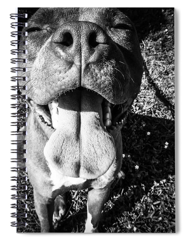 Sea Spiral Notebook featuring the digital art Pittie 1 by Michael Graham