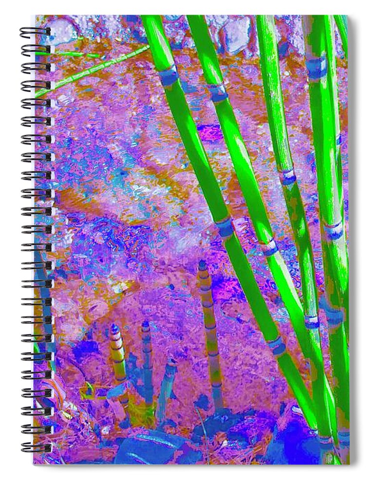 Reeds Spiral Notebook featuring the photograph Pixel Reeds Too by Debra Grace Addison