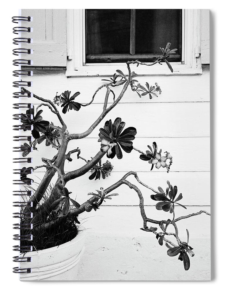 Shutter Spiral Notebook featuring the photograph Plant In Front Of House by Andreas Kuehn