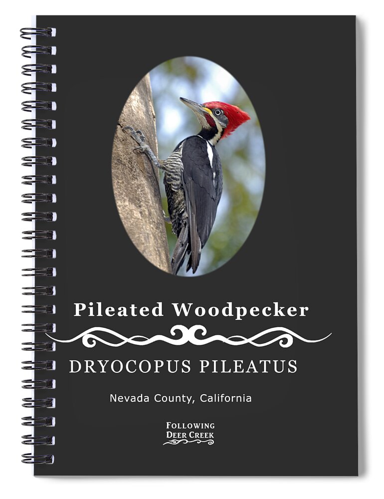 Picidae Spiral Notebook featuring the digital art Pleated Woodpecker by Lisa Redfern