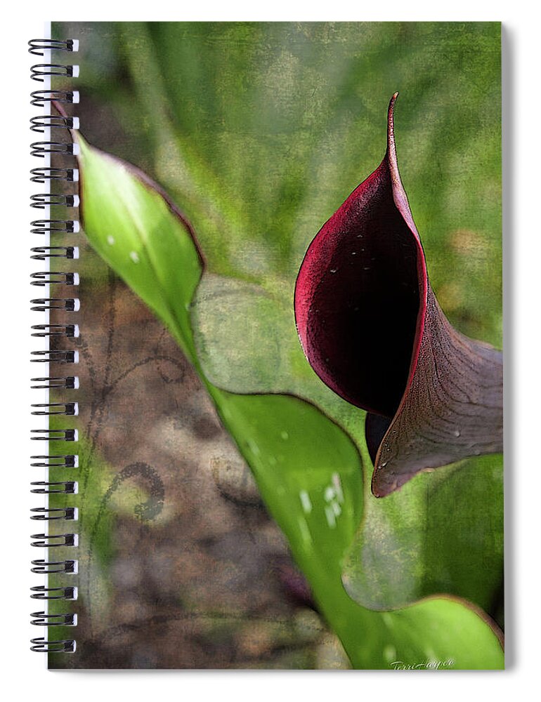 Calla Spiral Notebook featuring the photograph Poetry In Motion by Terri Harper