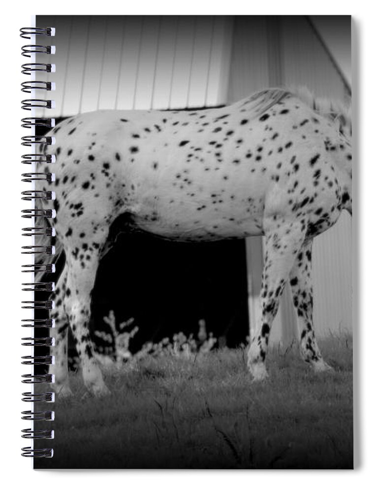  Spiral Notebook featuring the photograph Polka-Dottie by Kimberly Woyak