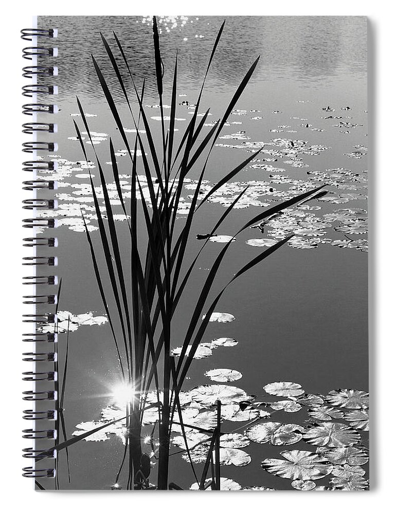 Non-urban Scene Spiral Notebook featuring the photograph Pond Grass And Lilly Pads by Monte Nagler