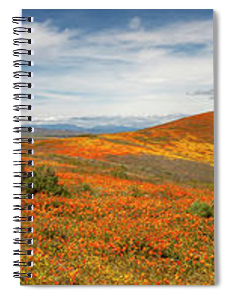 Antelope Valley Poppy Reserve Spiral Notebook featuring the photograph Poppy Reserve Panorama 1 by Endre Balogh
