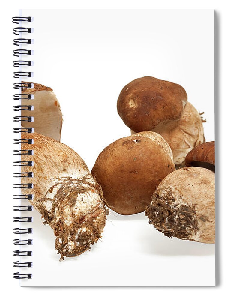 White Background Spiral Notebook featuring the photograph Porcini Mushrooms by Ursula Alter