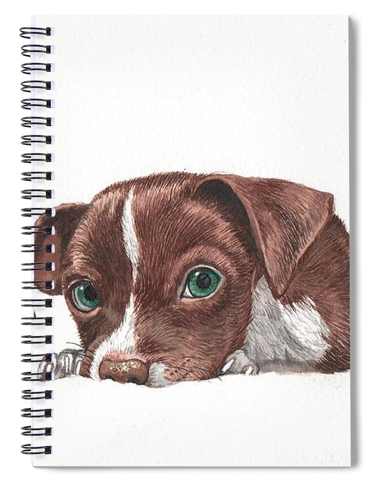 Chocolate Spiral Notebook featuring the painting Portrait of a Chihuahua puppy in watercolor by Christopher Shellhammer