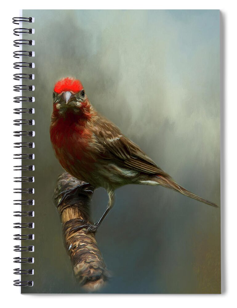 Avian Spiral Notebook featuring the photograph Portrait of a House Finch by Cathy Kovarik