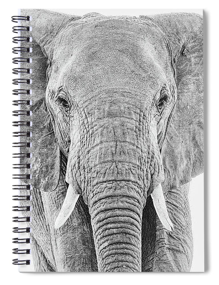 Elephant Spiral Notebook featuring the photograph Portrait of an African Elephant Bull in Monochrome by Mark Hunter