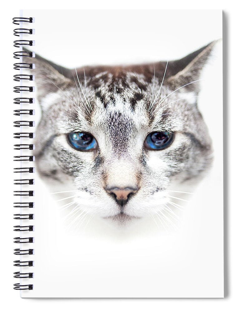 Pets Spiral Notebook featuring the photograph Portrait Of Cat by By Jonathan Fife