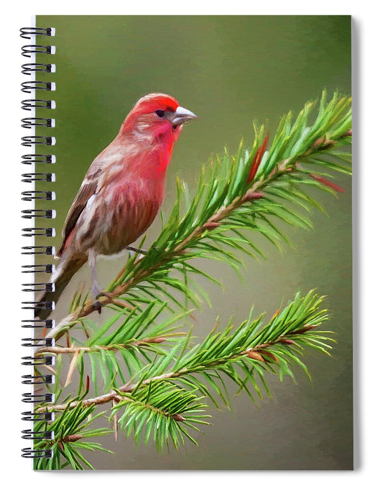 Finch Spiral Notebook featuring the photograph Pretty Bird by Cathy Kovarik