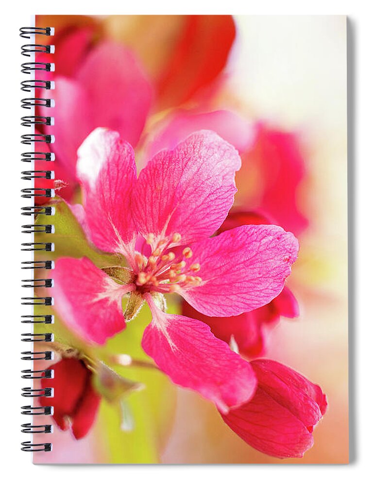 Garden Spiral Notebook featuring the photograph Pretty in Pink by Pamela Taylor