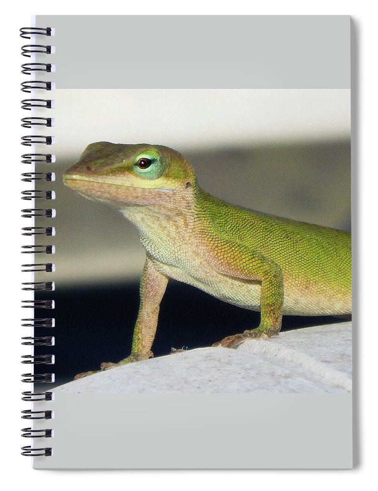 Animals Spiral Notebook featuring the photograph Pretty Peepers by Karen Stansberry