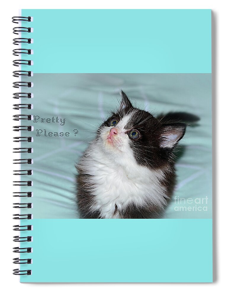 Pretty Please Spiral Notebook featuring the photograph Pretty Please? Cute Kitten by Kaye Menner by Kaye Menner