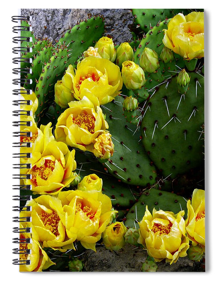 Prickly Pear Spiral Notebook featuring the photograph Prickly Pear Against Stone by Mike McBrayer