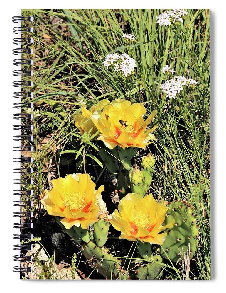 Nature Spiral Notebook featuring the photograph Prickly Pear Cactus in Spring by Sheila Brown