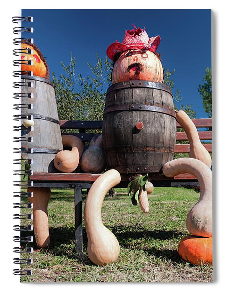Grass Spiral Notebook featuring the photograph Pumpkin Couple by Miha Pavlin