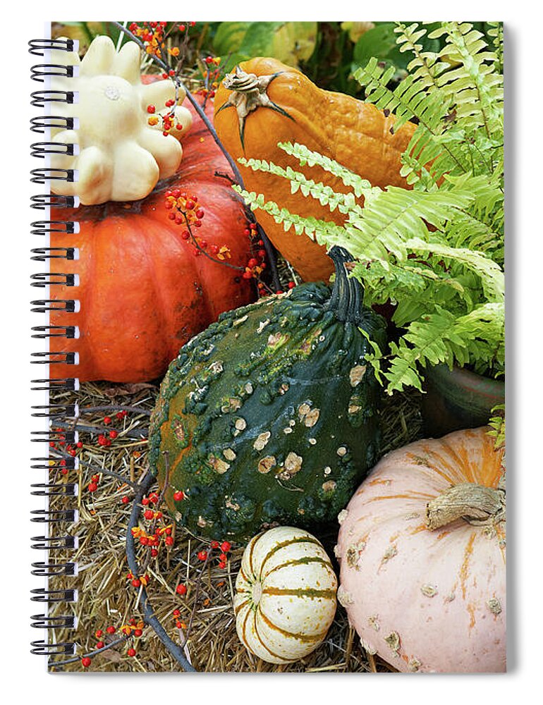 Garden Spiral Notebook featuring the photograph Pumpkin party by Garden Gate magazine