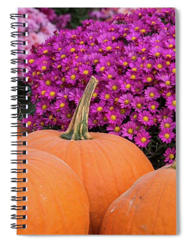 Maine Spiral Notebook featuring the photograph Pumpkin Pink by Karin Pinkham