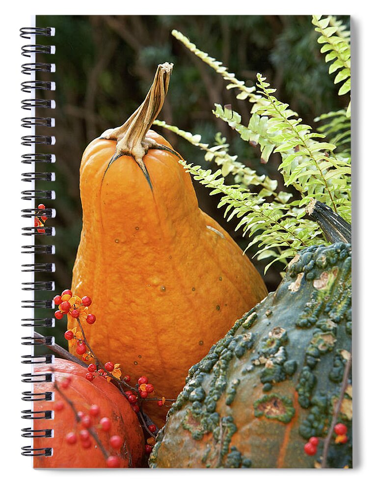 Garden Spiral Notebook featuring the photograph Pumpkin power by Garden Gate magazine