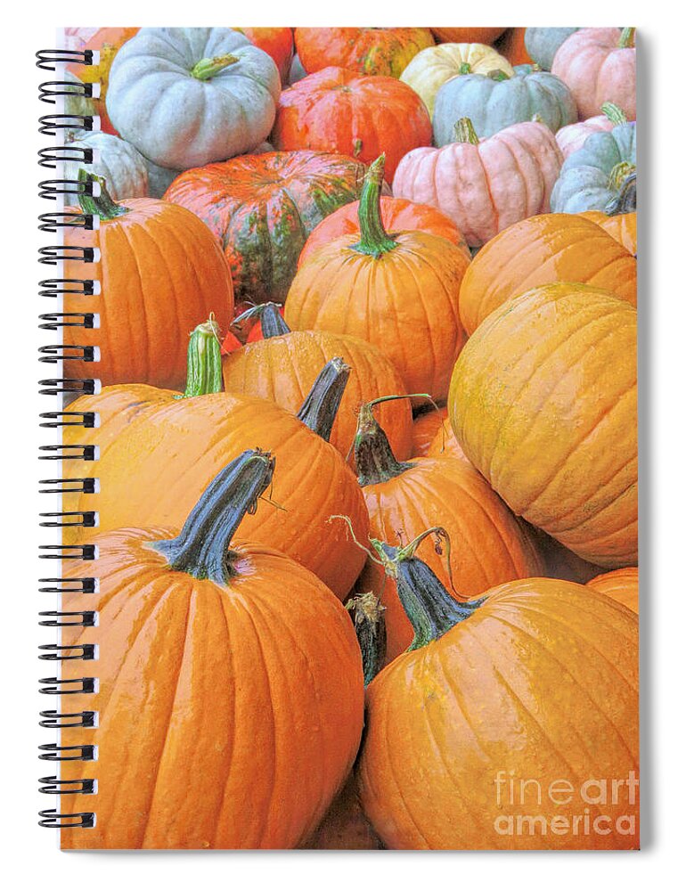 Pumpkins Spiral Notebook featuring the photograph Pumpkin Variety by Janice Drew