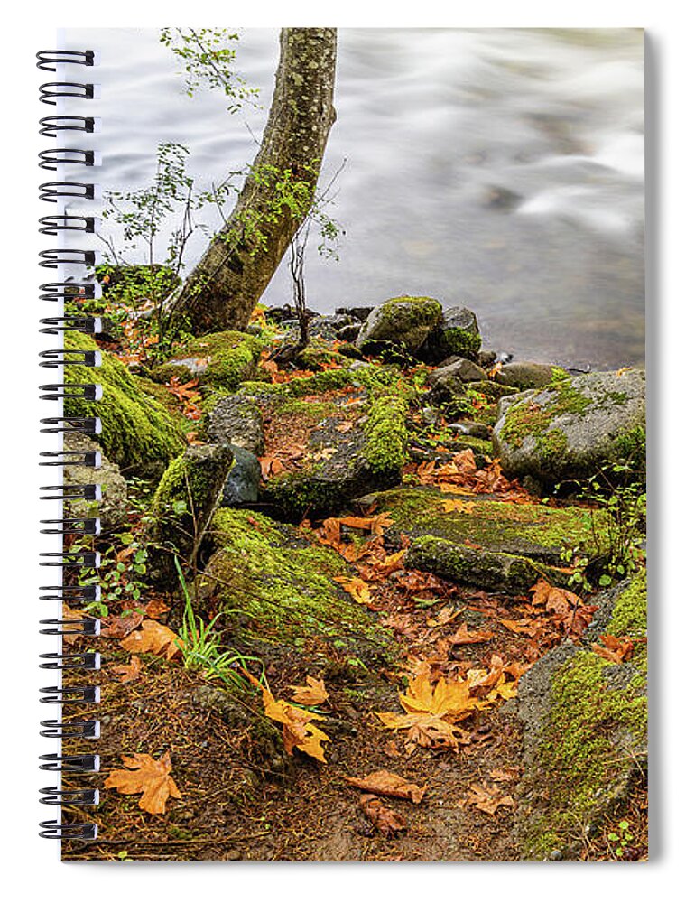 Landscapes Spiral Notebook featuring the photograph Puntledge River-4 by Claude Dalley