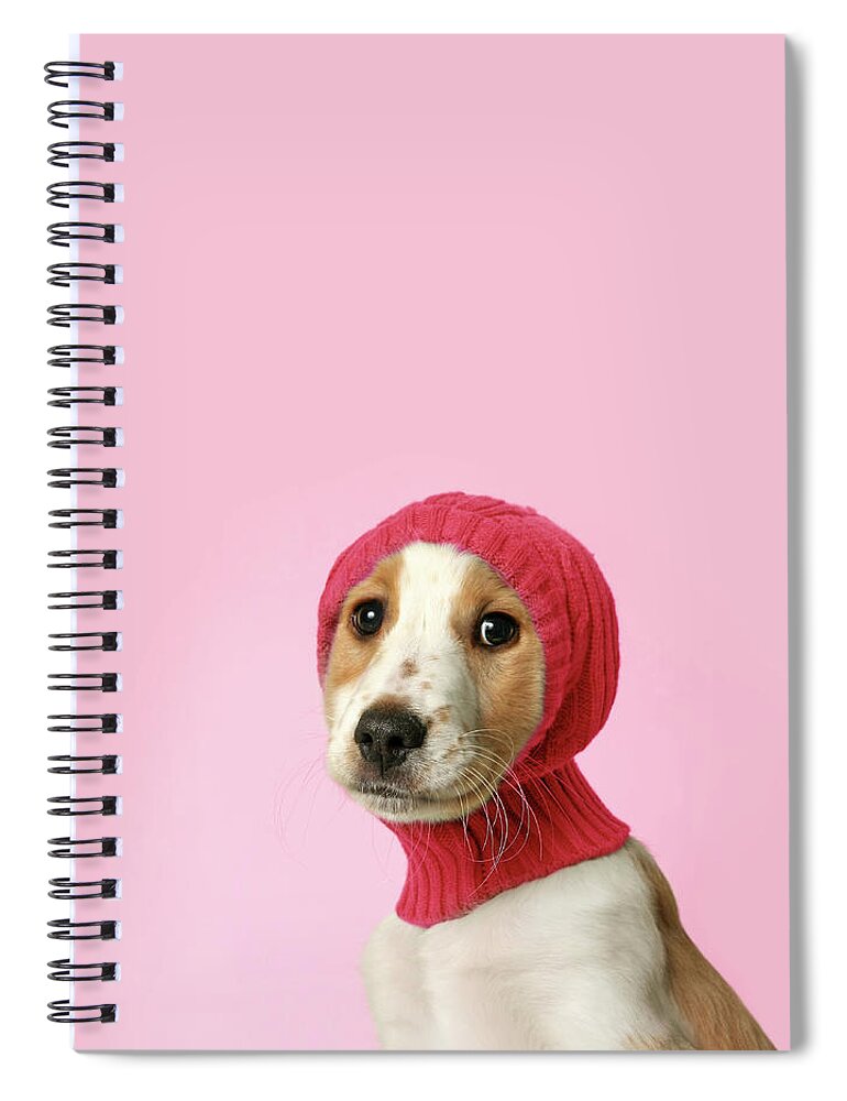 Pets Spiral Notebook featuring the photograph Puppy With Hat by Retales Botijero