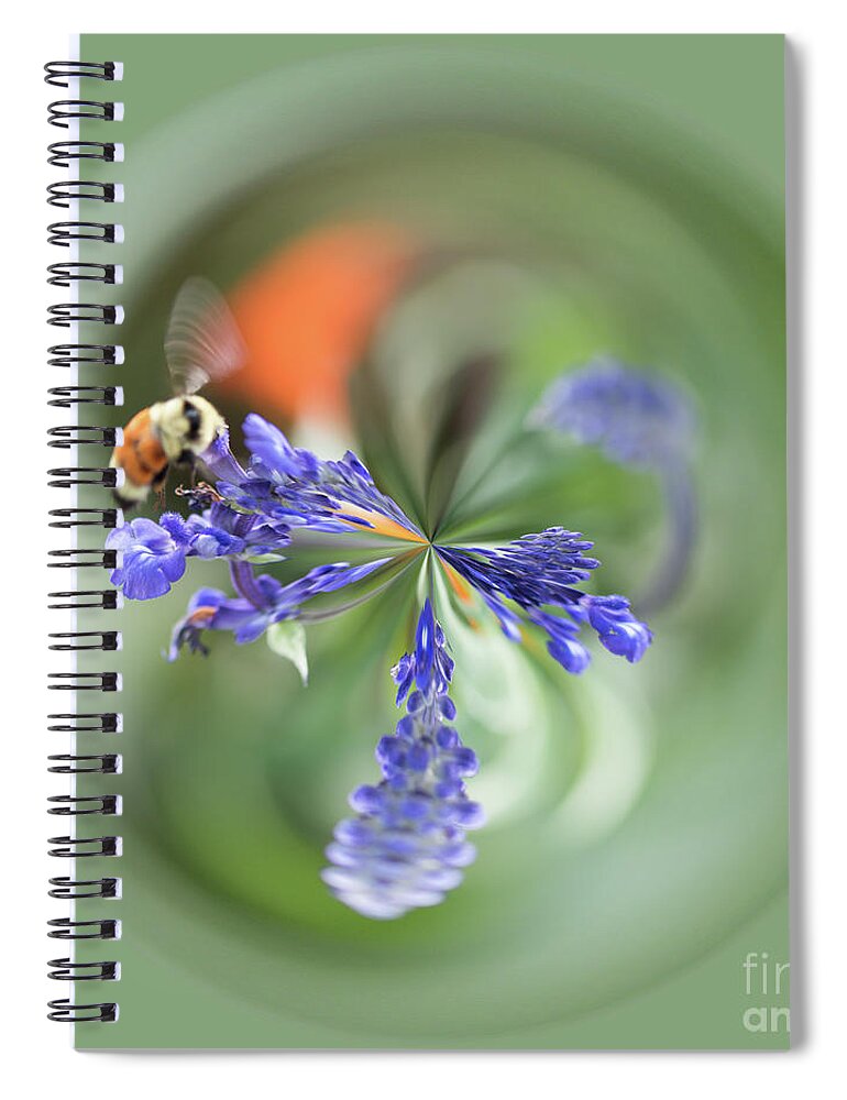 Orb Spiral Notebook featuring the photograph Purple flower orb with bee by Phillip Rubino