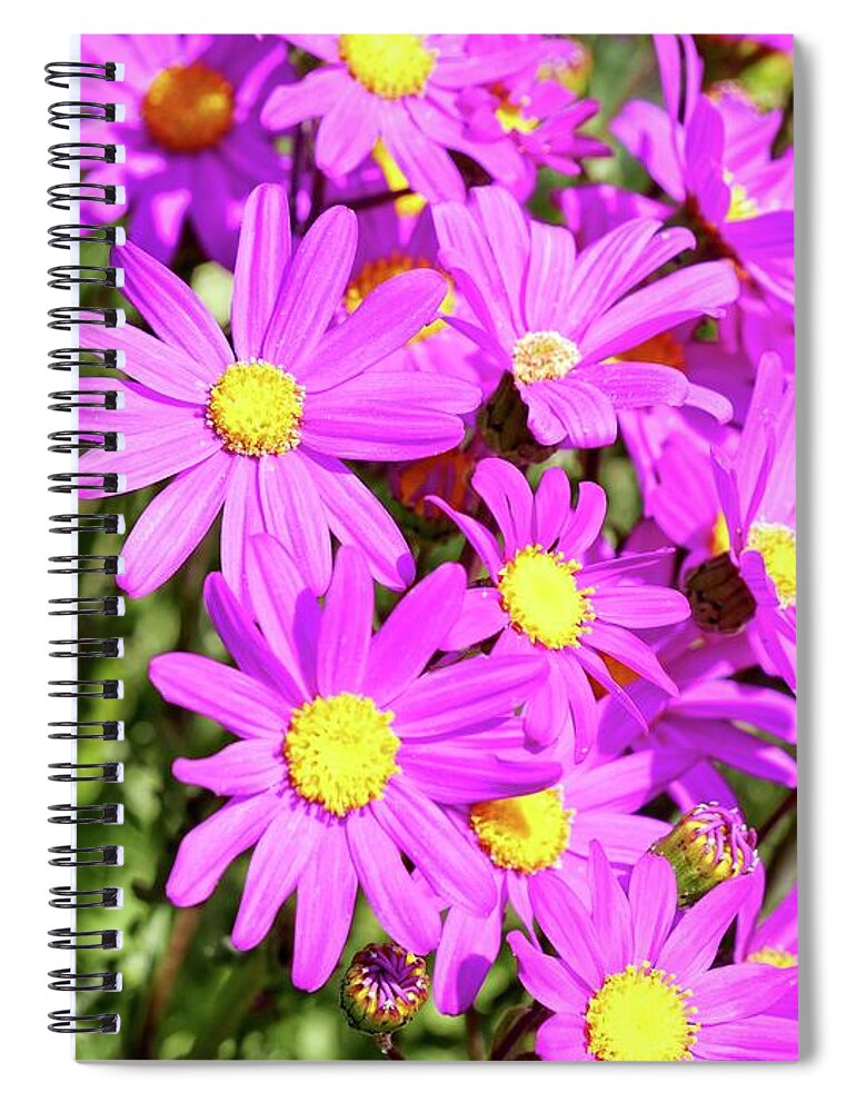 Flower Spiral Notebook featuring the photograph Purple flowers by Martin Smith