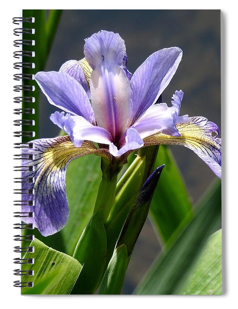 Purple Spiral Notebook featuring the photograph Purple Iris by Kathy Ozzard Chism