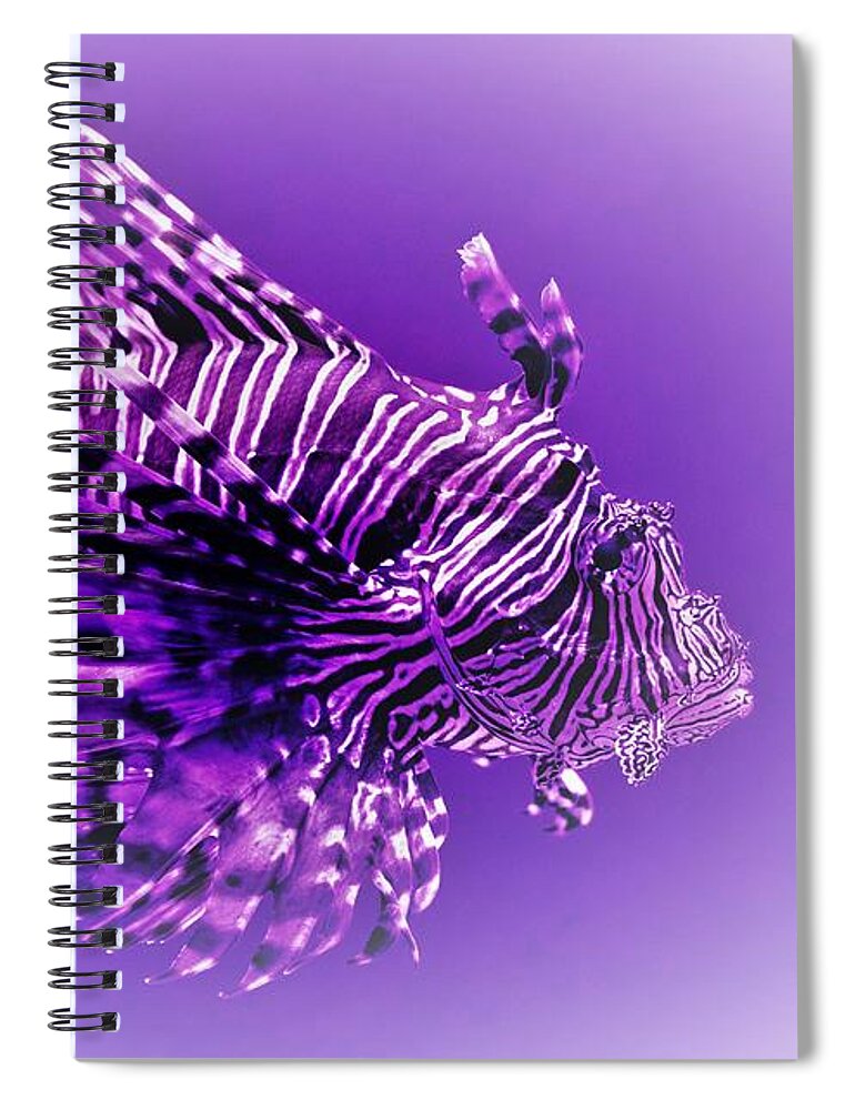 Lion Fish Spiral Notebook featuring the photograph Purple Lionfish by Lucie Dumas