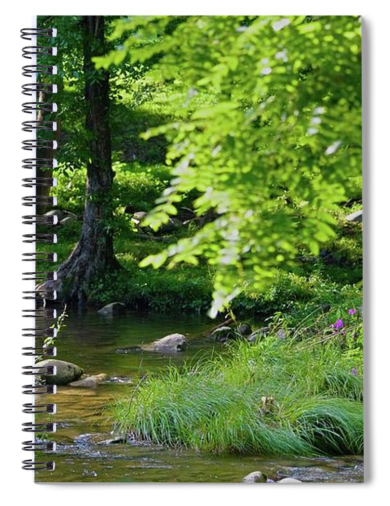 Mountain Stream Spiral Notebook featuring the photograph Purple Promise Flowers in a Mountain Stream by T Lynn Dodsworth