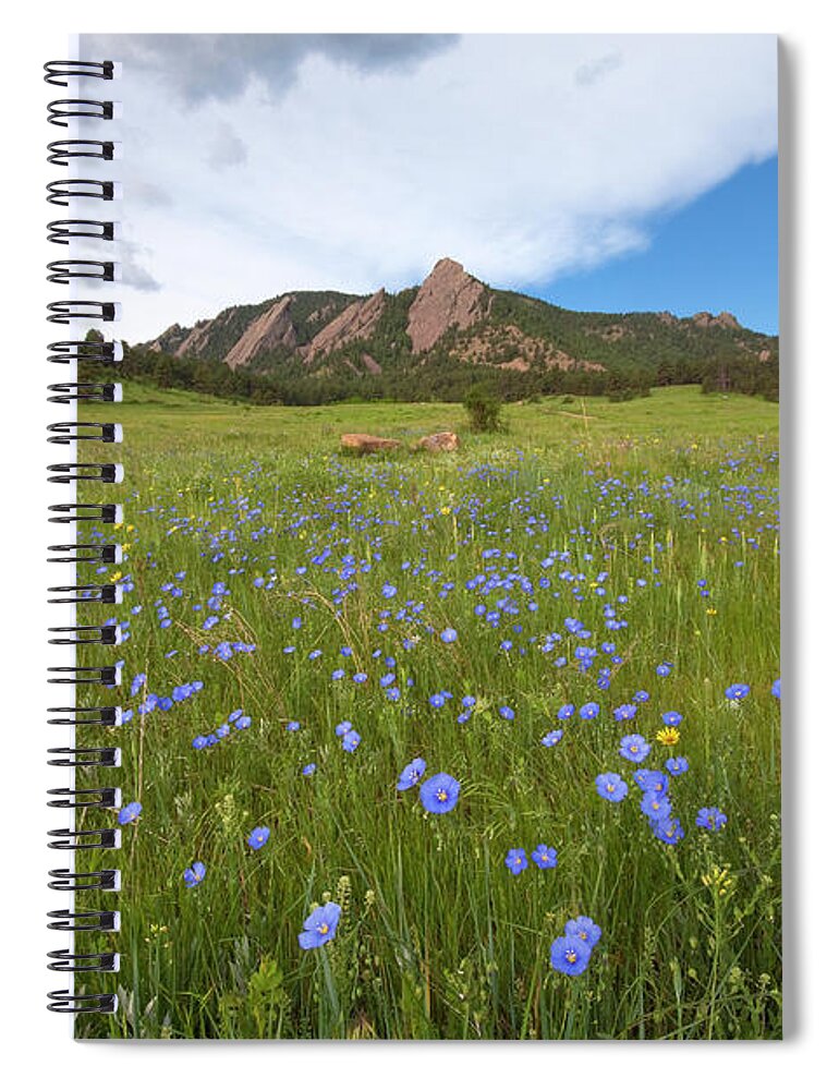 Purple Spiral Notebook featuring the photograph Purple Wildflowers In Boulder, Colorado by Lightvision, Llc