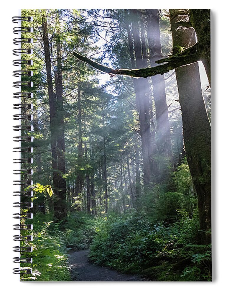 Background Spiral Notebook featuring the photograph Rain Forest at La Push by Ed Clark