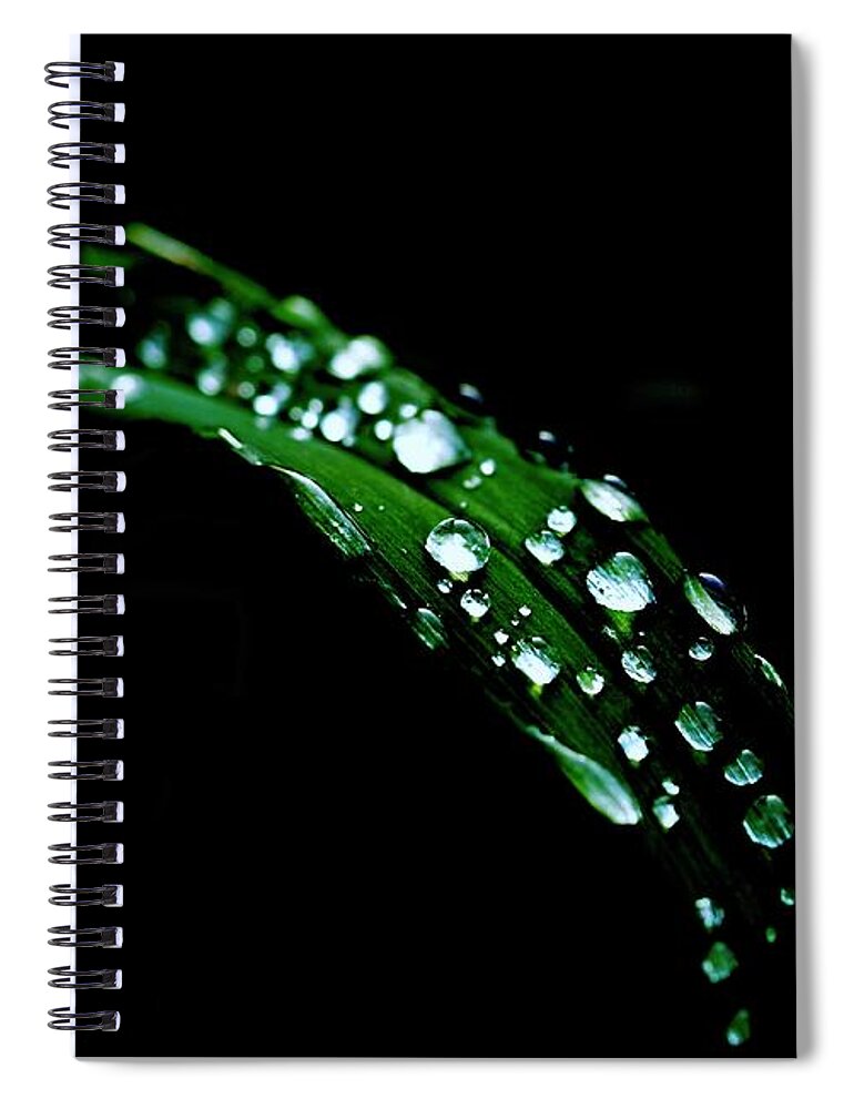 Leaf Spiral Notebook featuring the photograph Rain On A Green Leaf In Black by Alida M Haslett