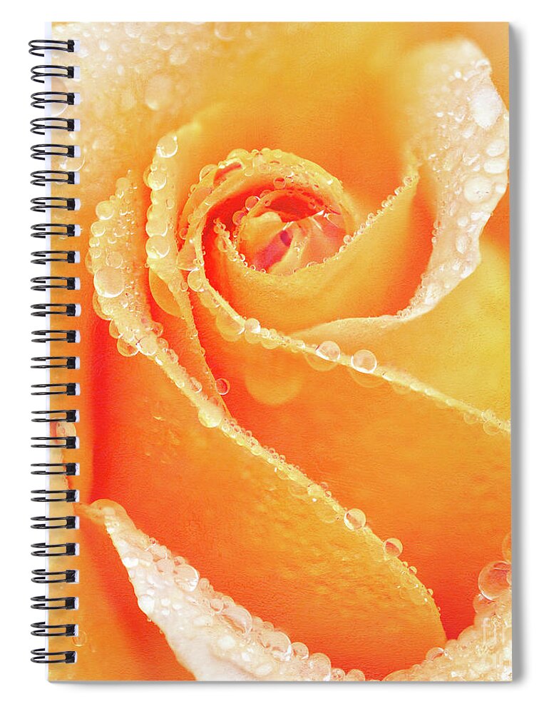 Rose Spiral Notebook featuring the photograph Raindrops on the Heart of a Yellow Rose by Anita Pollak