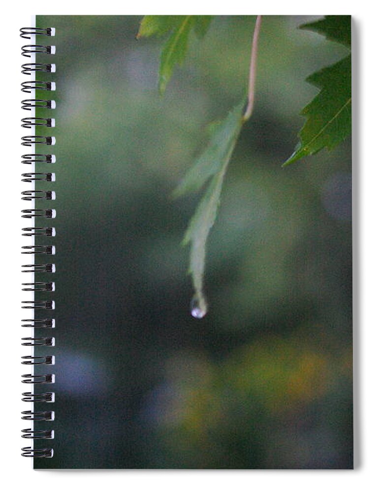 Nature Spiral Notebook featuring the photograph Raining by Frank J Casella