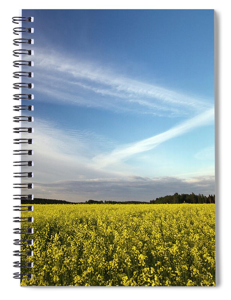 Sweden Spiral Notebook featuring the photograph Rape Seed Field And Blue Sky With by Johan Klovsjö